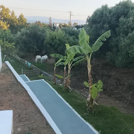 Mediterranean Ratzakli *